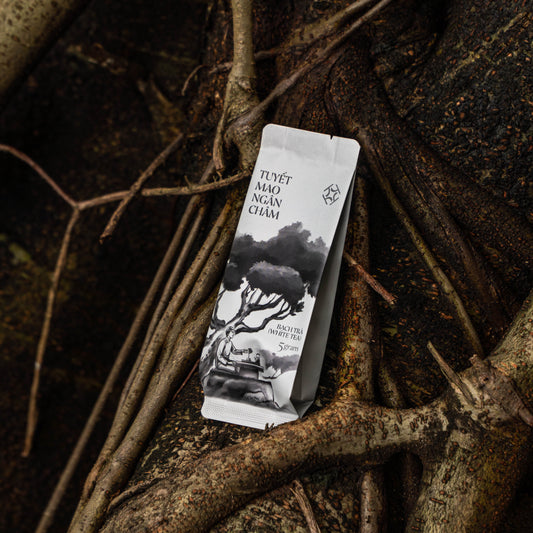 Tuyết Mao Ngân Châm - Hộp 12 Gói x 5g