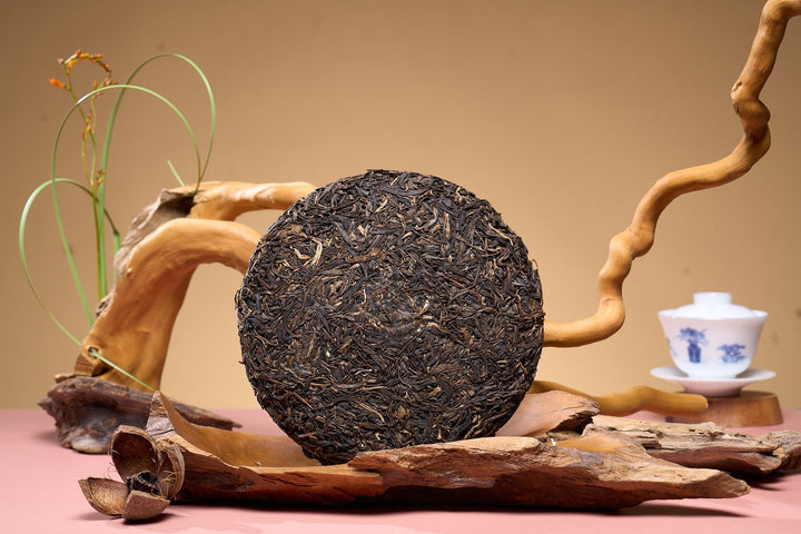 Trà Phổ Nhĩ là gì? Phân biệt Phổ Nhĩ Sống và Chín | THÉVIA