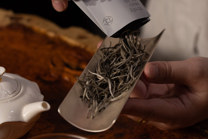 Bạch trà là gì? Tại sao Bạch trà được mệnh danh là "vua" của các loại trà?