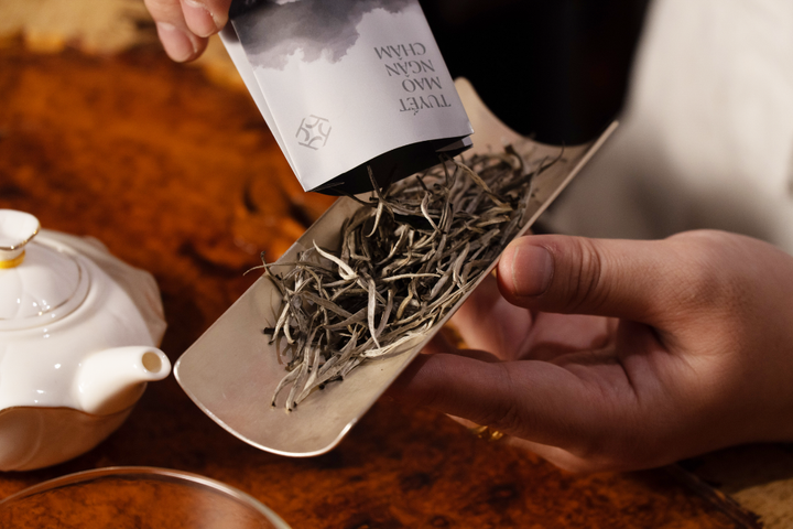 Cách pha trà Tuyết Mao Ngân Châm