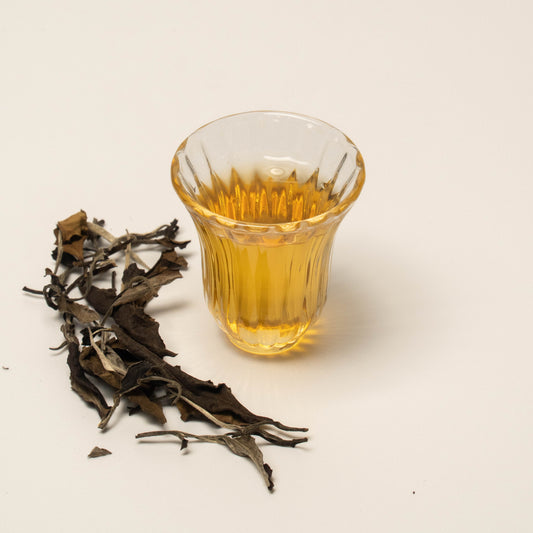 Bạch Mẫu Đơn - 60g