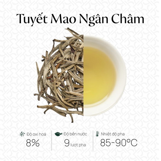 Tuyết Mao Ngân Châm - Bạch Trà Pha Ấm - 60g