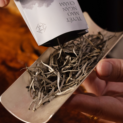 Tuyết Mao Ngân Châm - Hộp 12 Gói x 5g